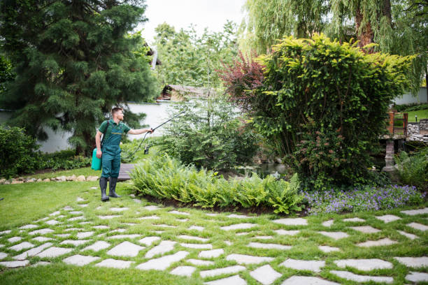 Reliable Old Orchard, PA Pest Control Solutions