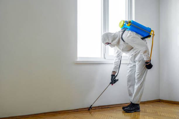 Best Emergency Pest Control  in Old Orchard, PA