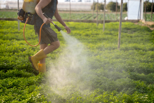 Best Local Pest Control Services  in Old Orchard, PA