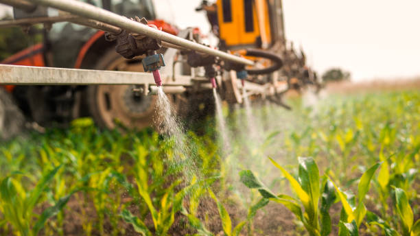 Professional Pest Control in Old Orchard, PA